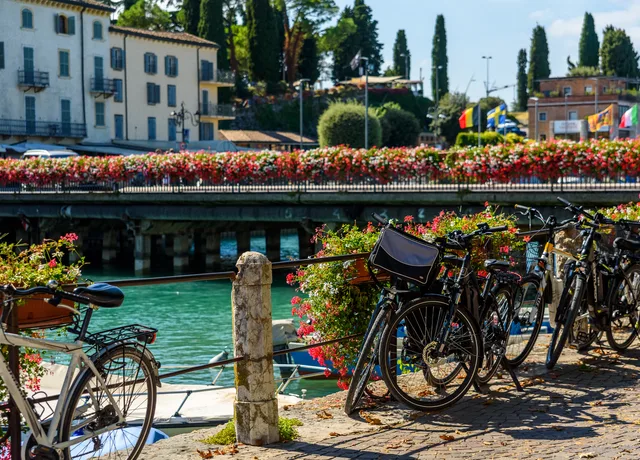 Réserve du bout du lac d'Annecy en vélo électrique